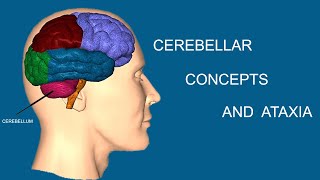 CEREBELLAR CONCEPTS AND ATAXIA [upl. by Libys380]