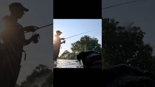 fishing mechaniclife jagdterrier tomos foodlovers doglover trout grill river pecanje [upl. by Denice974]