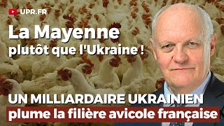 La Mayenne plutôt que lUkraine ou comment un milliardaire ukrainien plume laviculture française [upl. by Pavier]