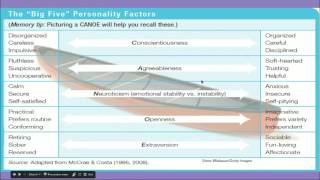 Trait Theory Personality Analysis [upl. by Lehman]