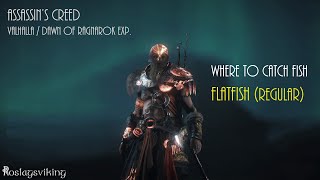 Assassins Creed Valhalla  Dawn of Ragnarok  Fishing Locations  Flatfish Regular [upl. by Eelitan]