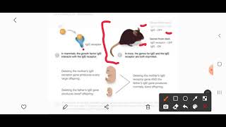 Genomic Imprinting CSIR NET Question [upl. by Ponce625]