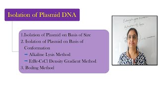 Plasmid DNA Isolation MethodsAlkaline lysis EtBrCsCl density gradient Isolation on basis of Size [upl. by Eckart]