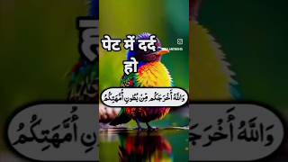 PET ME DARD KA WAZIFA 🌹💐🌺🐦dardkidua ytshortsindia deenkibaatein [upl. by Vinny222]