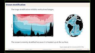 November Webinar with Romain Caneill From alpha to beta ocean [upl. by Walton]