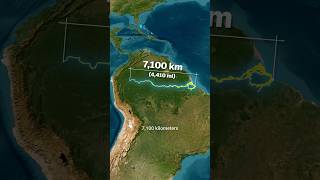 Why The Amazon River Has No Bridges 🤯 One of the Worlds Longest Rivers 🌊 [upl. by Enimisaj]