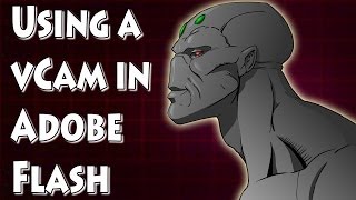 Working with a vCam in Adobe Flash [upl. by Elvyn919]