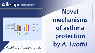 Intranasal administration of Acinetobacter lwoffii in a murine model of asthma [upl. by Yetac]