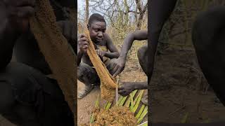 This is how hadzabe preparing their food middle of nowhere without any spices and Salt hadzabetribe [upl. by Gniw]