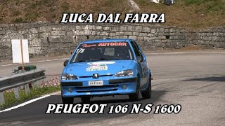 SALITA ALPE DEL NEVEGAL 2024  LUCA DAL FARRA  PEUGEOT 106 NS 1600  VIDEO BELLUNOVIDEO [upl. by Tdnaltroc]