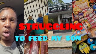 BROKE MOM OF 1 GETS ON FOOD STAMPS  quothow i survive on food stampsquot  commissary haul [upl. by Asillim]