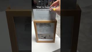 Het is maar een stomme lamp blijven ze zeggen 🤦🏼‍♂️ [upl. by Sihonn]