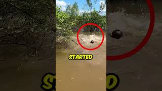 Man Gets Dragged Underwater By Mysterious Creature scary shorts mystery [upl. by Quartis717]