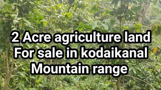 2 Acre farmagriculture land for sale in kodaikanal mountain range [upl. by Elleynad505]