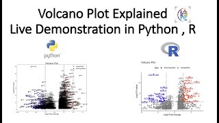 Volcano Plot Explained ​ Live Demonstration in Python  R ​ [upl. by Prudie]