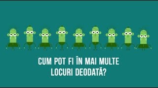 eConsulat  Cum fac o procură [upl. by Etnauq]