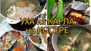 УХА В КАЗАНЕ НА КОСТРЕ 🔥 СУПЕР МЕГА ВКУСНОЕ БЛЮДО РЕЦЕПТ ОТ ШЕФПОВАРА [upl. by Niwhsa]