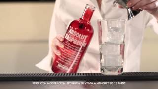 ABSOLUT BAR  Absolut Raspberri Ambitious [upl. by Sara]