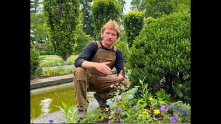 Untermyer Gardens Conservancy Summer Annuals With Drew Schuyler Introduced by Timothy Tilghman [upl. by Olemrac774]