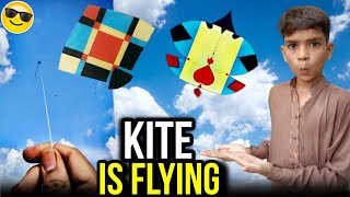 quite is flying 😲  how to do make kite [upl. by Tommie]