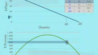 Elasticity and Revenue and its relationship [upl. by Aleydis]