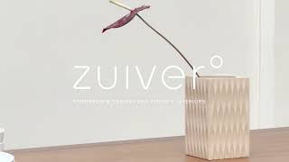 Zuiver drop 3 video [upl. by Ishmul]