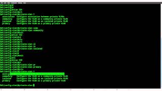 Private VLAN lab on Cisco Catalyst Switch 3560 [upl. by Ettennat561]