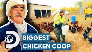 The Biggest Chicken Coop In Homestead History  Homestead Rescue [upl. by Yvad590]