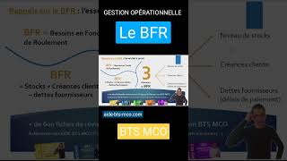 Les éléments du BFR en BTS MCO [upl. by Foskett]