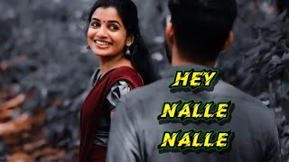 quotHey nalle nallequot nee nanne japise  Kannada new song  Hey nalle lyrical status video song [upl. by Norred]