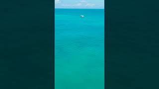 Must See Drone Footage of Bimini Bahamas shorts [upl. by Chellman475]