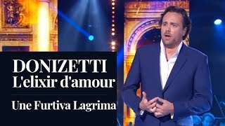 Donizetti  Lelisir damore quotUna Furtiva Lagrimaquot Julien Behr LIVE [upl. by Noreh]