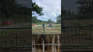 shortvideo grassing treecare satisfying landscapegrass automobile grass treemaintenance [upl. by Redliw]