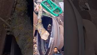 Usage of wheel rims to cut wood easily youtubeshorts trending viralshorts shortfeed viral [upl. by Aivila]