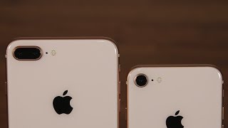 iPhone 8 vs iPhone 8 Plus Camera Differences You Need To Know [upl. by Aryajay]