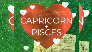 Capricorn and Pisces Compatibility Love Sex Relationship Marriage and More [upl. by Azeria]