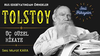 Tolstoy  Seçilmiş Hikayeler  Rus Edebiyatından Sesli Kitaplar [upl. by Meeharb126]