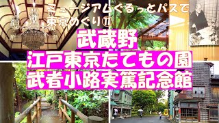 東京武蔵野【江戸東京たてもの園・武者小路実篤記念館】東京・ミュージアムぐるっとパスで庭園や美術館をめぐりました。 [upl. by Jet]