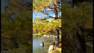 Kinkakuji temple Japan [upl. by Vernier]