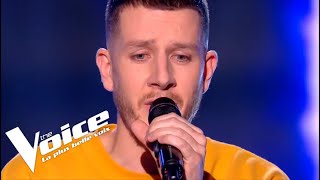 William Sheller  Un homme heureux  Alex Adam  The Voice 2019  Blind Audition [upl. by Aytnahs]