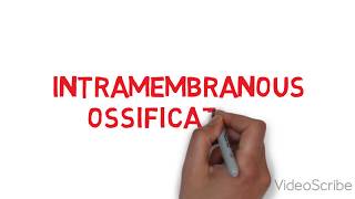 Lecture ossificationintramembranous [upl. by Morgana]