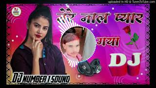 Tere Naal Pyar Ho Gaya new DJ song [upl. by Clem]