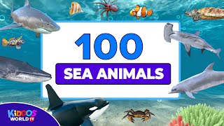 100 Sea Animals Collection  Learning Aquatic Animals Names and Videos [upl. by Johna112]