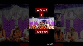 બુધ્ધગીરી બાપુ  Budhgiribapu  Bhajan shortsfeed gujaratisinger gujaratistatus [upl. by Netsriik]