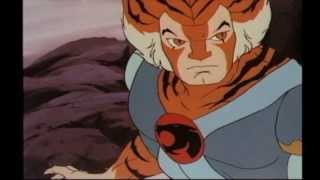 Thundercats Tygra Tribute [upl. by Uticas]