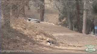 CampgroundViewscom  Tehachapi Mountain Park Tehachapi California CA Campground [upl. by Hepzi]