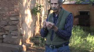 Intro to Dendrochronology  Thomas C Windes [upl. by Razatlab]