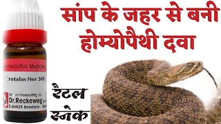 क्रोटेलस होरिडस होम्योपैथी दवा के मुख्य लक्षण । crotalus 30 guiding symptoms in Hindi [upl. by Etak840]