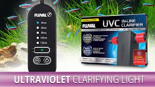 Fluval UVC InLine Clarifier  Timer Operation [upl. by London]