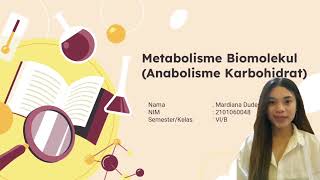 TUGAS UAS  METABOLISME BIOMOLEKUL  ANABOLISME KARBOHIDRAT [upl. by Nagap573]